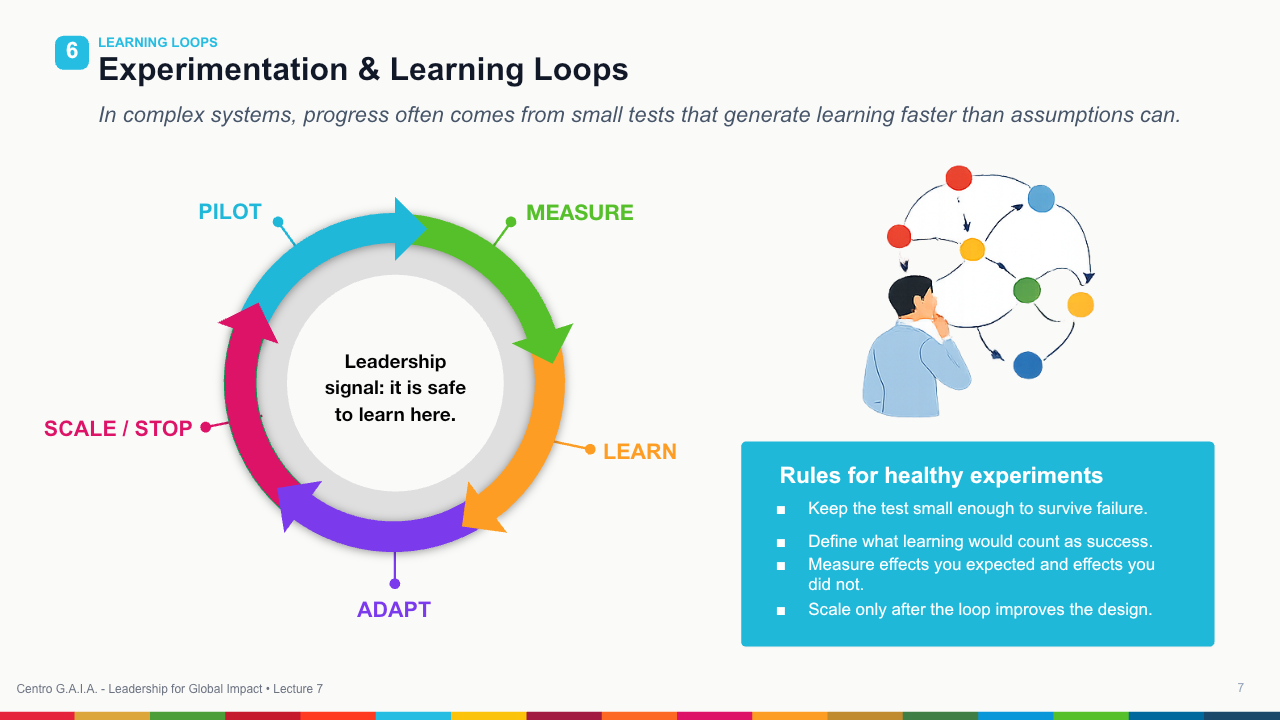 Systems Thinking and Complexity Leadership — Lección 8